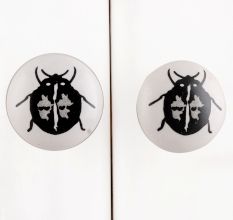 Beetle Flat Ceramic Cabinet Knob